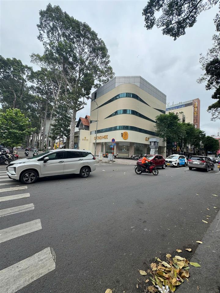 Giá cực tốt biệt thự mặt tiền pasteur, p6, q. 3  dt nở hậu 19x40m cn 300m2 đất 4 tầng. chỉ 105 tỷ