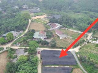 Lô đất diện tích 1364 m2, lô góc 3 mặt đường, giá rẻ cho bác nào thích diện tích lớn