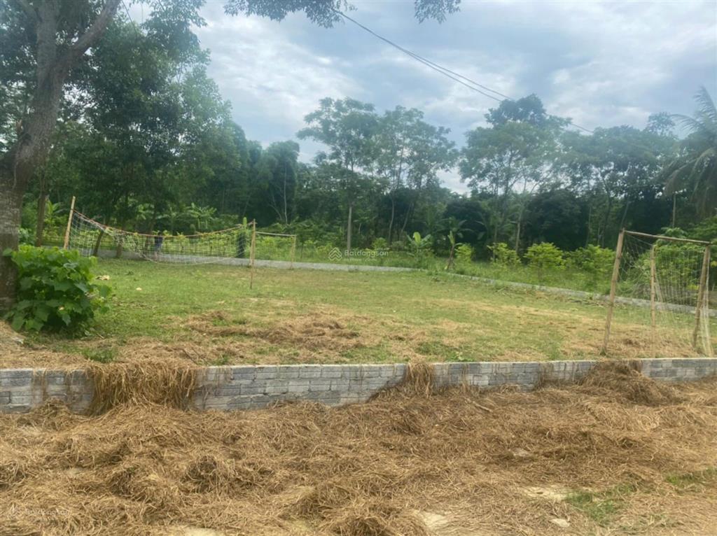 Chính chủ bán hơn 600m2 đất lô góc, sổ chính chủ thôn triu, điền lư, bá thước, thanh hoá 0967 522 ***