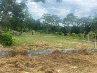 Chính chủ bán hơn 600m2 đất lô góc, sổ chính chủ thôn triu, điền lư, bá thước, thanh hoá 0967 522 ***