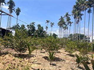 Bán đất thôn phú hậu, suối hiệp, diên khánh, 1300m2