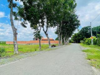 Bán nhanh lô đất 2 mt, xã thái mỹ, 332m2(có 12m2 thổ cư), shr, 1 tỷ 595