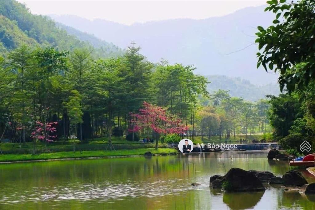 Bán biệt thự 4pn, 4wc tại xanh villas, 18,5 tỷ, 258m2, thạch thất, hà nội