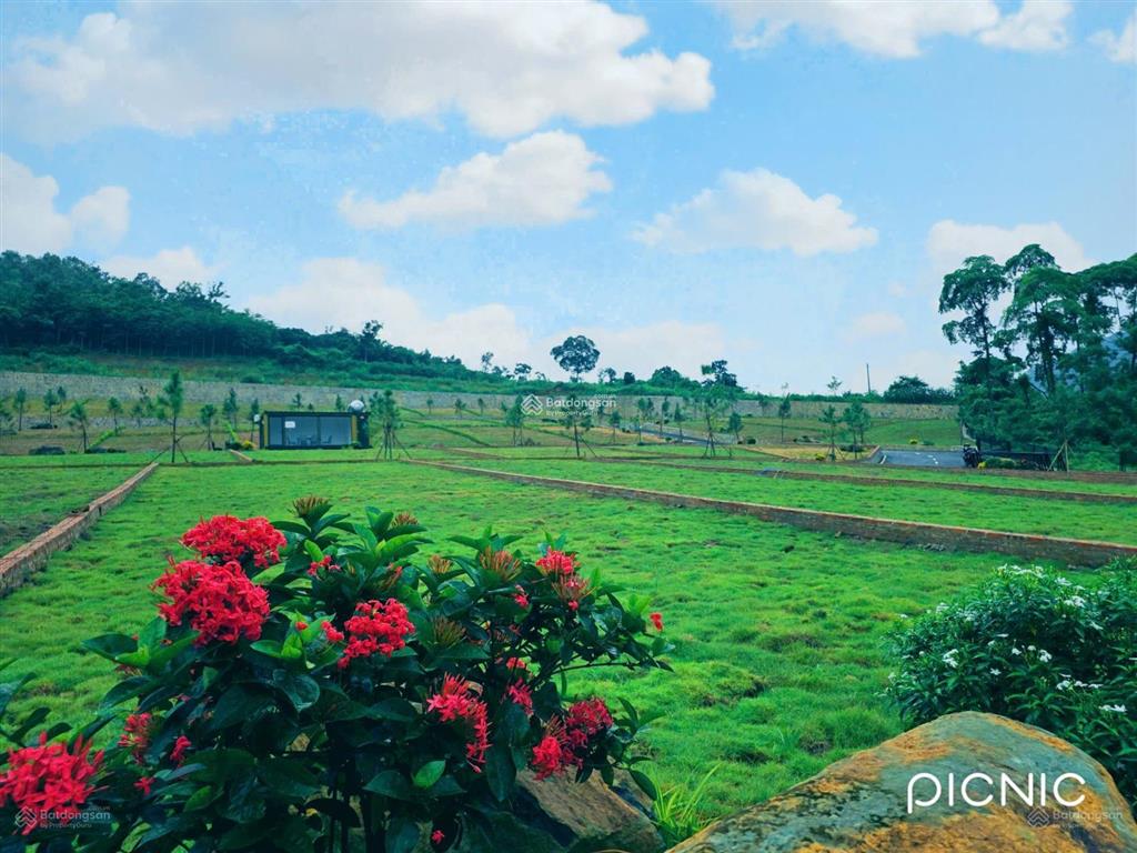 Chính chủ bán đất view hồ, gần đh quốc gia, fpt, khu cnc 1&2, tổ hợp y tế. dt 219,7m2. giá 17 tr/m2