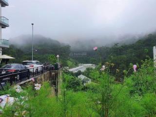 Chỉ 9 tỷ 1 sở hữu ngay lô đất 251m2 ngang 12m view rừng thông bao quanh tặng gpxd p10 tp đà lạt