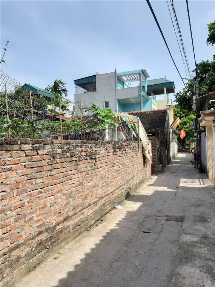 Bán đất chính chủ tại vạn lộc, xuân canh, đông anh, hà nội