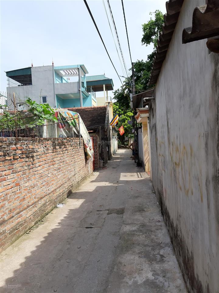 Bán đất chính chủ tại vạn lộc, xuân canh, đông anh, hà nội