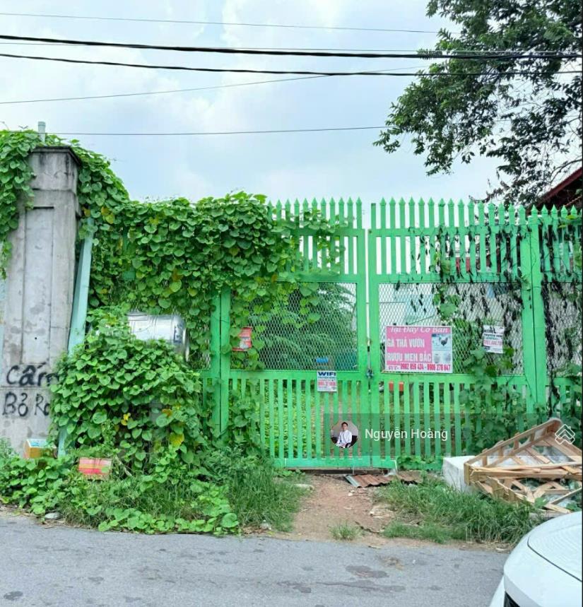 Đất mặt tiền đường  ngã 3 lê văn việt/hhn  750m2  ngang 10m  cpxd 7 tầng  không qh/lg