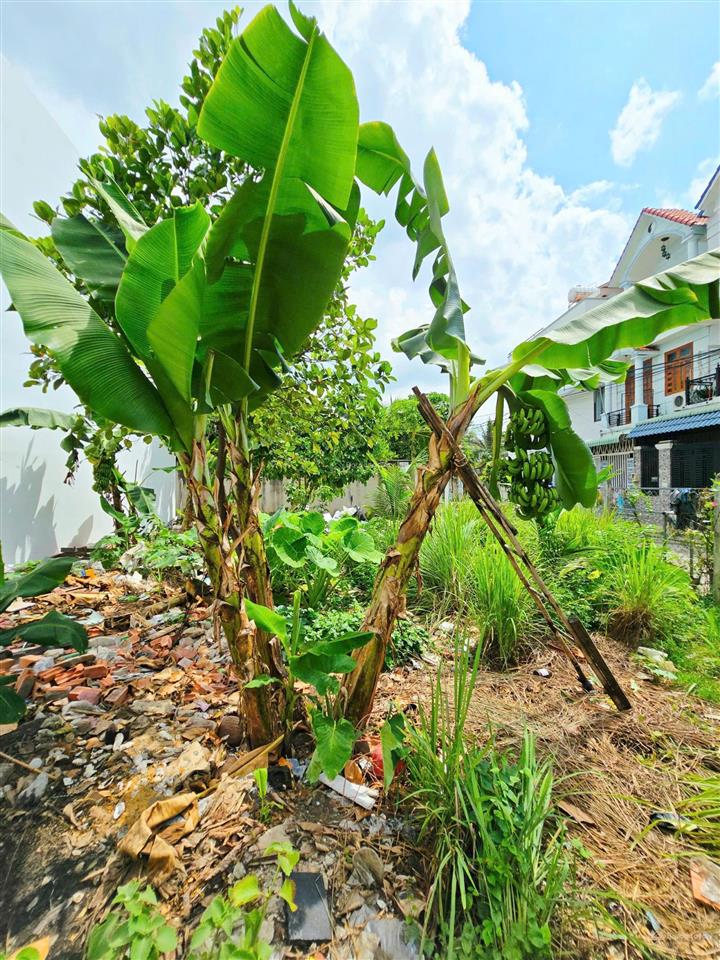 Gấp bán lô góc 3 mặt tiền, 131m2, ngang 13.1m, đường ô tô, gần vinhomes grand park, chợ lò lu