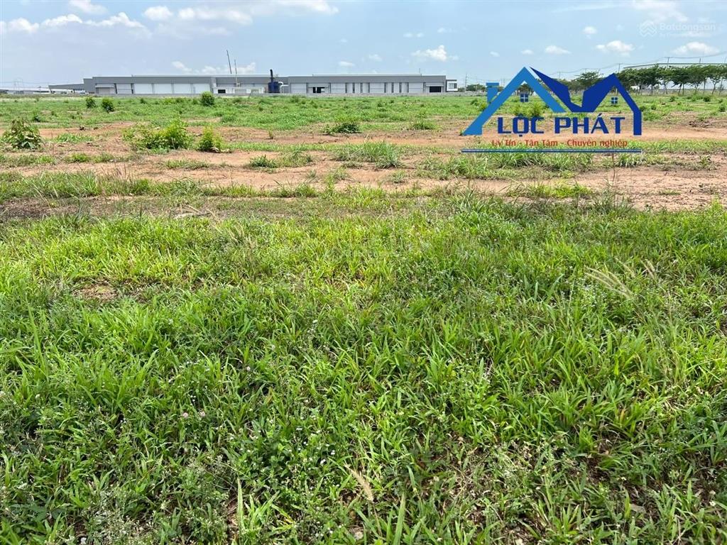 Bán đất skk 173usd/m2 kcn giang điền trảng bom đồng nai, diện tích 31001m2