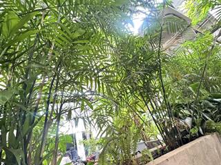 Cho thuê nhà biệt thự 199m2, 35 triệu, hai bà trưng, tân định, q1 ưu tiền cafe cổ, nhà hàng cổ