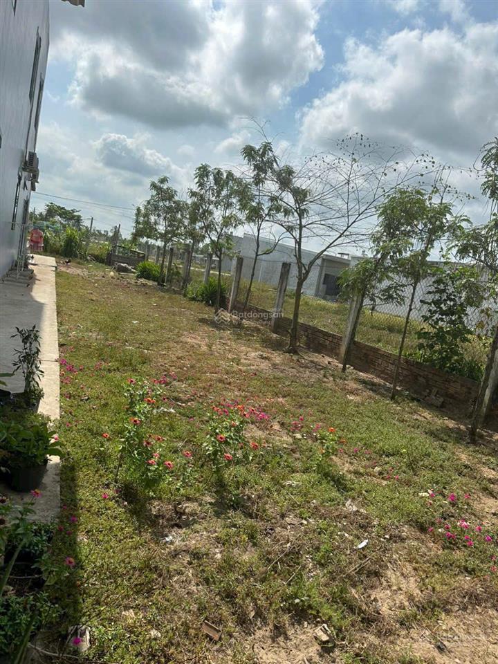 Đất tỉnh lộ 910b (854 củ)  bình minh  vĩnh long (280m2)  giá 2.6 tỷ tl