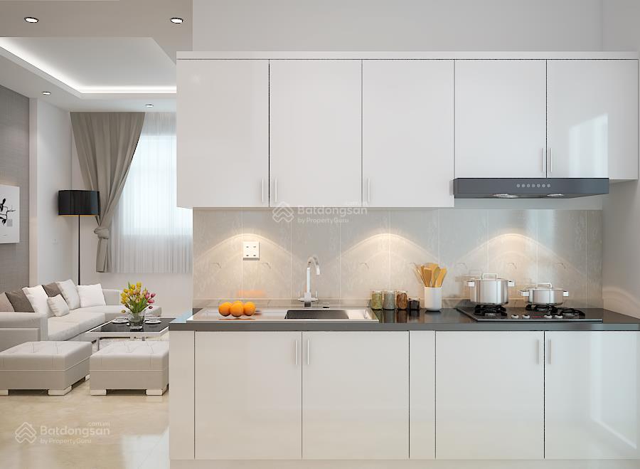 Bán căn hộ đất xanh thủ đức gần ql13 và phạm văn đồng sẵn sổ hồng 2 phòng ngủ bàn giao nhà ngay