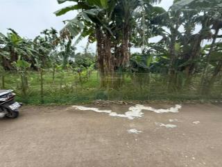 Chính chủ cần bán lỗ lô đất 170m2, tt phong điền, huế giảm lỗ còn 399 triệu