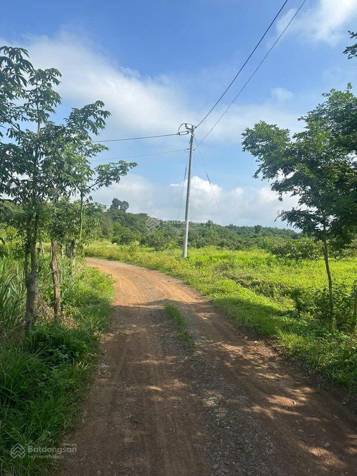 Định cư cần bán gấp 8016m2 giáp suối lớn cách quốc lộ 20 3km khu dân cư phú ngọc, chỉ 1tỷ7