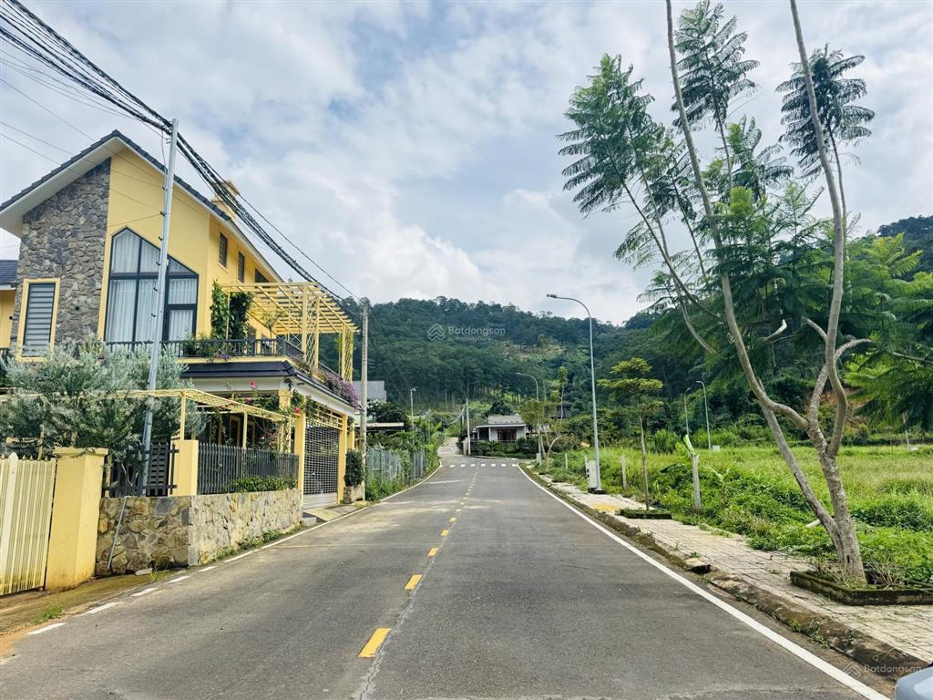 Đất giáp rừng thông view rừng thông dưới chân đèo prenn mr chí thiện bđs
