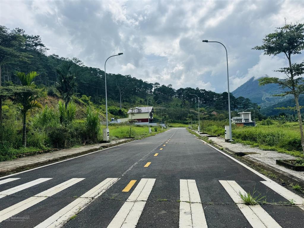 Đất giáp rừng thông view rừng thông dưới chân đèo prenn mr chí thiện bđs