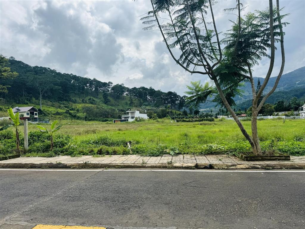 Đất giáp rừng thông view rừng thông dưới chân đèo prenn mr chí thiện bđs