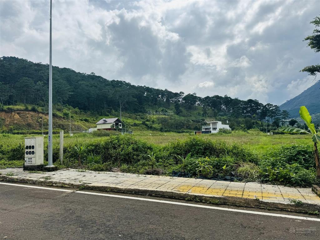 Đất giáp rừng thông view rừng thông dưới chân đèo prenn mr chí thiện bđs