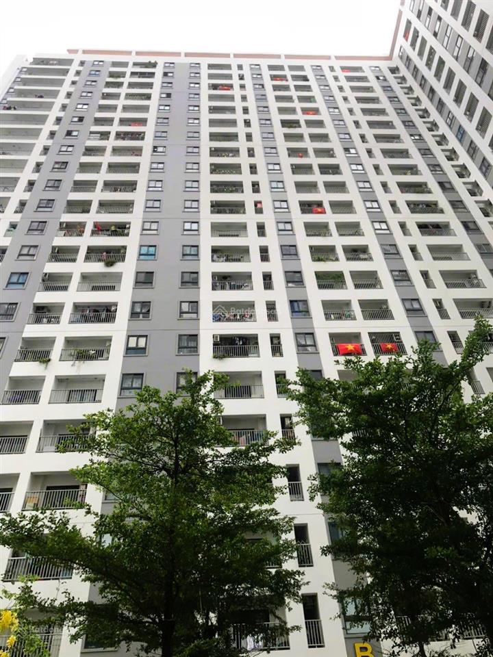 Bán gấp căn hộ chung cư 52m2, 1,62 tỷ tại iris tower, bình hòa, thuận an, bình dương