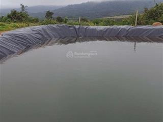 Siêu phẩm có 102 diện tích 17 ha ngay gần thành phố pleiku