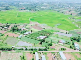 7ha đất thành phố pleiku tỉnh gia lai