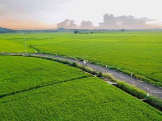 Siêu phẩm homestay nghỉ dưỡng cực đẹp