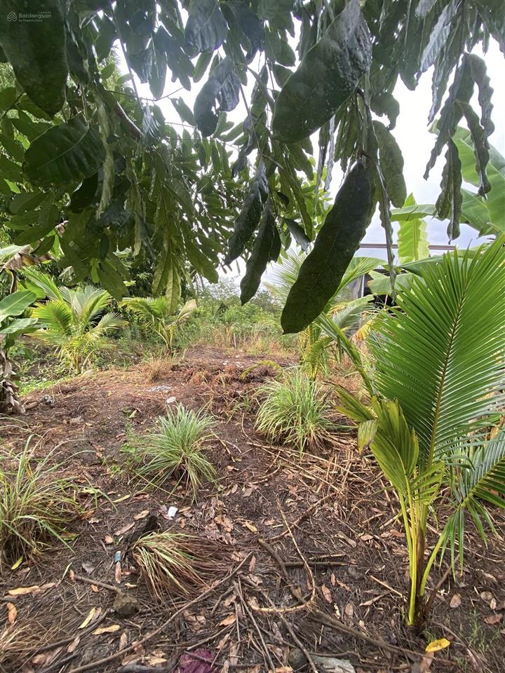 Siêu rẻ bán lô đất vườn có thổ cư 1001m2 (40mx30m) có sẵn 80m2 thổ cư chỉ 685 triệu