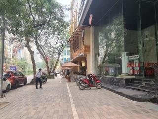 Mặt phố lạc long quân  bán nhà cấp 4  dt 490m2  giá 140 tỷ