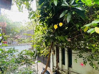 Biệt thự kdc đồng diều không gian sống riêng tư giữa lòng quận 8