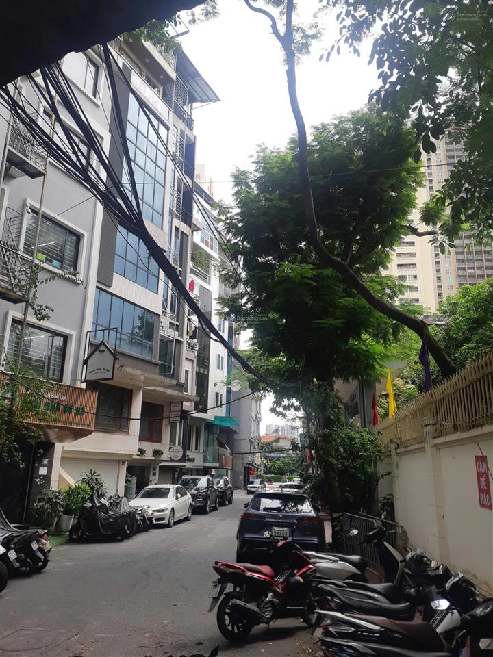 Bán nhà nguyễn chánh 65m² mặt ngõ 12m, vỉa hè kd sầm uất giá 13.7 tỷ. 0867 345 ***