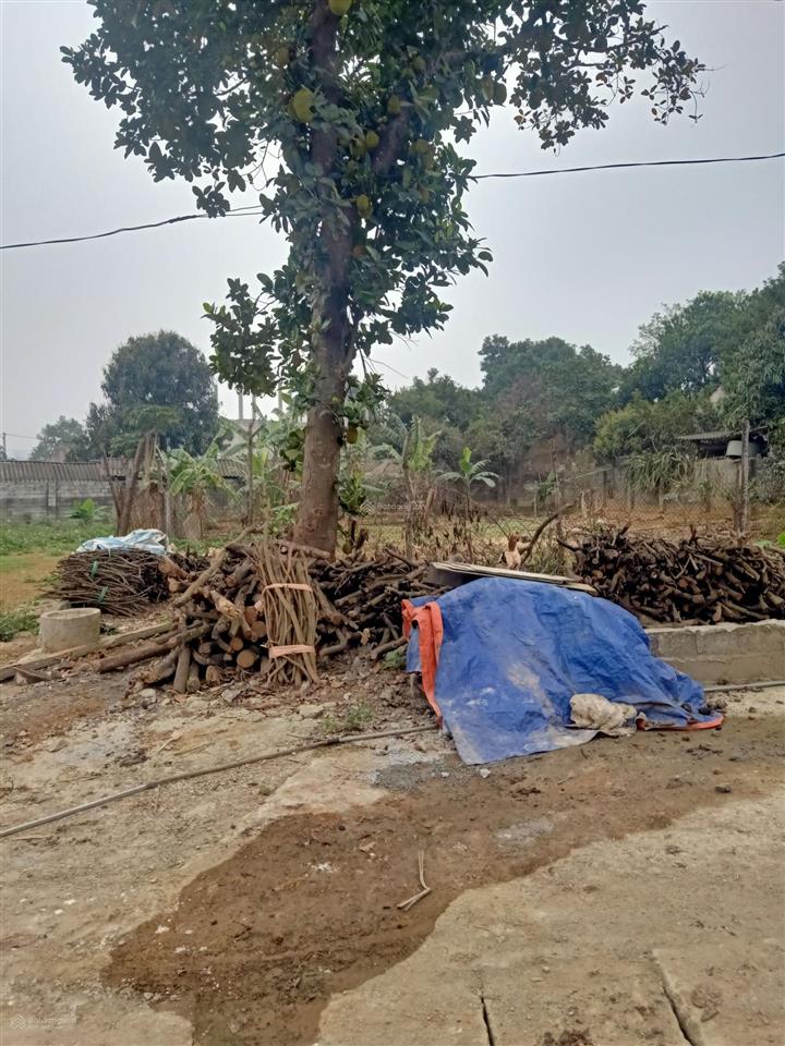 Cc bán đất đẹp sát trục chính liên huyện hòathạch q oai ,285m2 (đất ở 100m2) mt 8,4m,giá chỉ 3,85tỷ