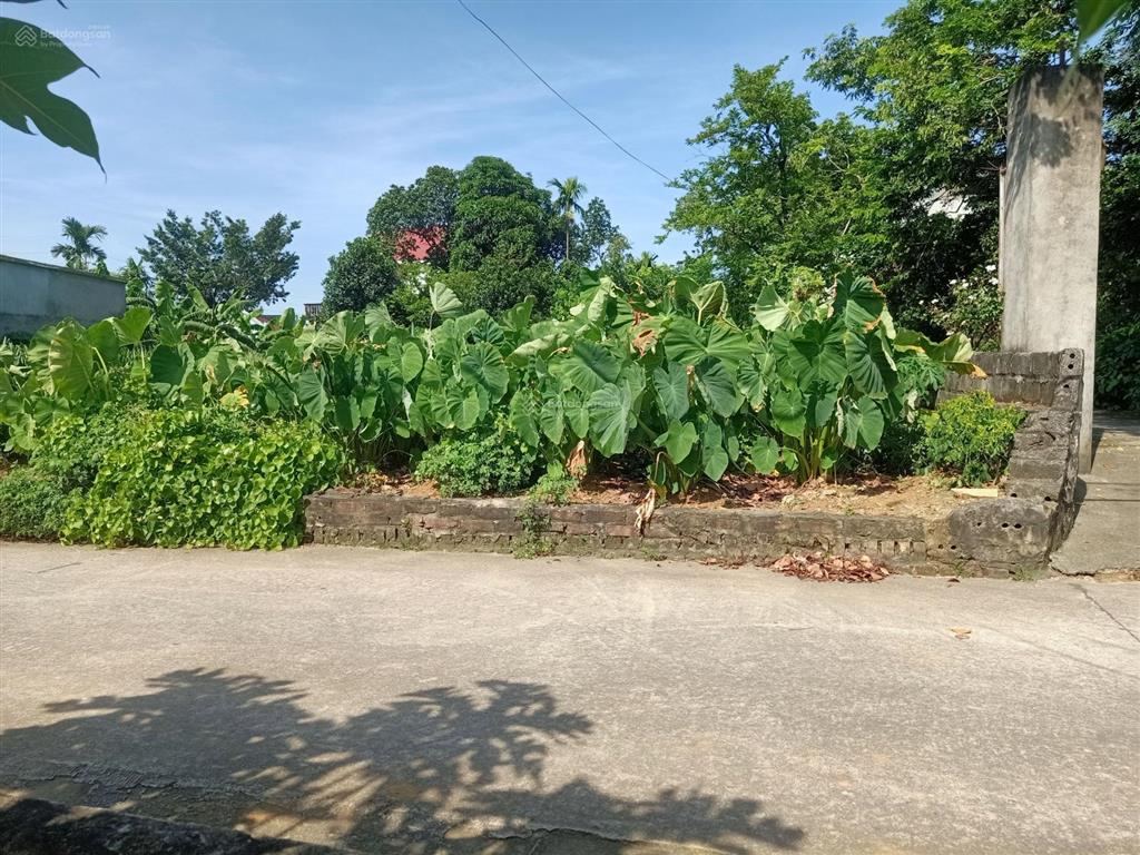 Siêu phẩm nghỉ dưỡng phân lô đẳng cấp view hồ  mặt tiền khủng phú cát hà nội 480m2 tc 180m2 mt 17m