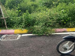 Siêu phẩm lô đất 2 mặt đường trước,sau, áp phan ô tô tránh dt 165,3m đất ở 75m,mt 10m,giá 2,975tỷ.