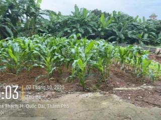 Cc bán lô đất đẹp sát trục chính hòa thạch, quốc oai dt 272,5m2(đất ở 100m2), mt 11m, giá chỉ 5,1tỷ