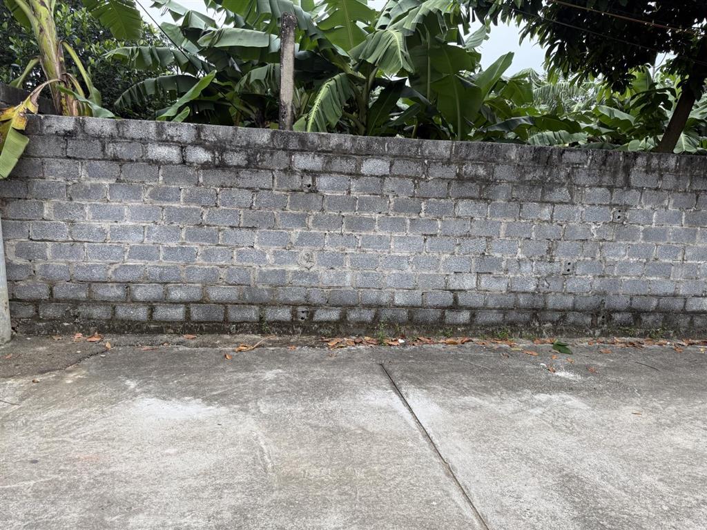 Cc cần tiền bán rẻ193,1 m fullthổcư mặt tiền 6,9m giá chỉ 3,86 tỷ rẻ hơn tt20% ngõ thông oto tránh