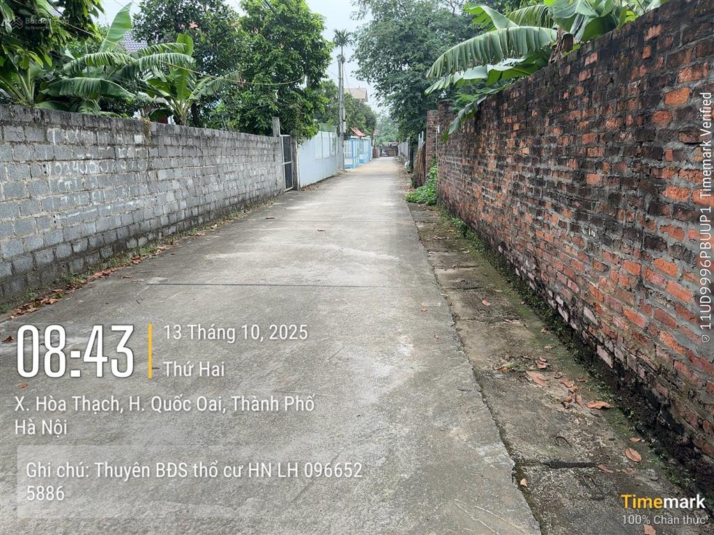 Cc cần tiền bán rẻ193,1 m fullthổcư mặt tiền 6,9m giá chỉ 3,86 tỷ rẻ hơn tt20% ngõ thông oto tránh