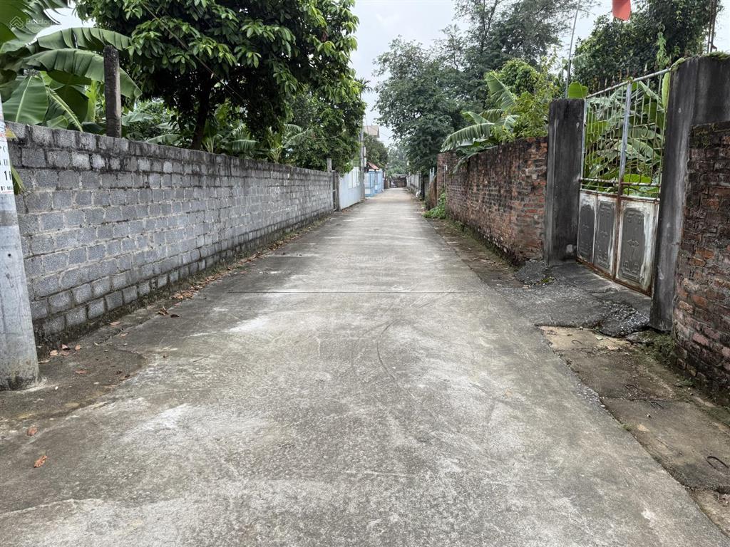 Cc cần tiền bán rẻ193,1 m fullthổcư mặt tiền 6,9m giá chỉ 3,86 tỷ rẻ hơn tt20% ngõ thông oto tránh