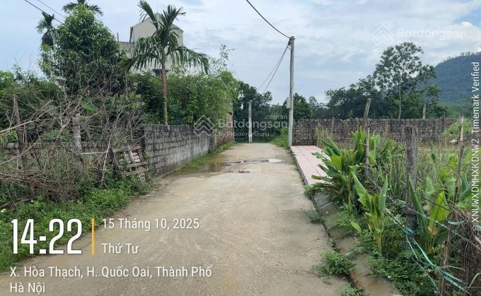 Cc gửi lô đất đẹp, rẻ tại thắng đầu hòa thạch quốc oai hn, 502,7m(đất ở 108,9m2)mt 12m, giá 6,1 tỷ