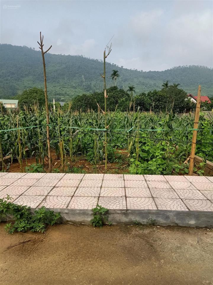 Chính chủ bán lô đất đẹp full thổ cư hòa thạch quốc oai hn, dt 166,6m2, mt 5,28m, giá chỉ 3,5 tỷ