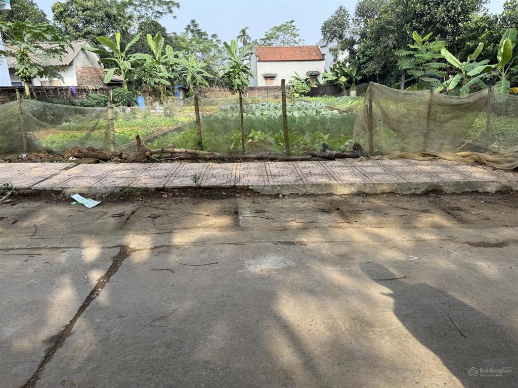 Đất thổ cư đẹp giá tốt đường oto tránh thôn 3 phú cát hn 231,8 m tc100 m mặt tiền 6,11 m giá 4,4tỷ