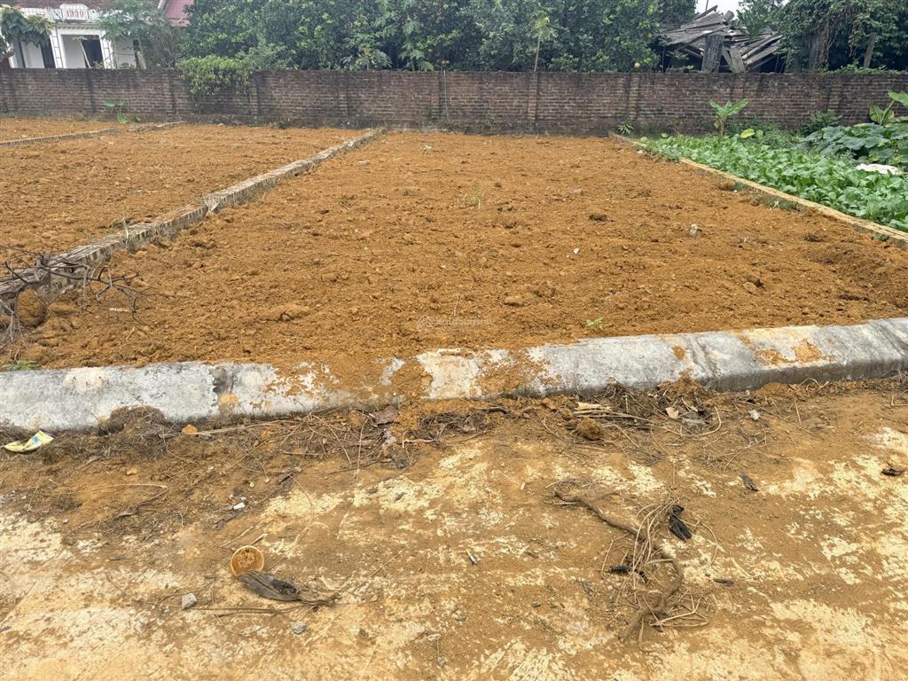 Nhỉnh 1 tỷ lô đất 100 mfull thổ cư oto vào tận đất giá 1,5tỷ tại hoà trúc xã phú cát tp hà nội !