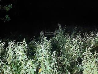 Bán đất tại xã hàm thuận, tỉnh lâm đồng mới