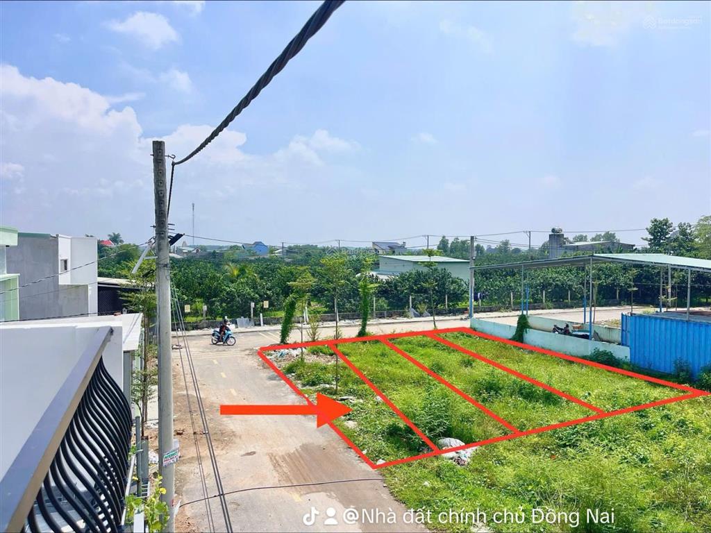 Bán khu đất cù lao, tân triều, ven sông sổ sẵn, ngay kdl bửu long cách cầu hoá an 5 phút