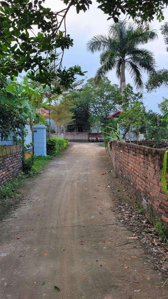 Đất thổ cư tại xã hồng kỳ, sóc sơn, hà nội, 1,175 tỷ, 72m2, bao đẹp giá ưu đãi