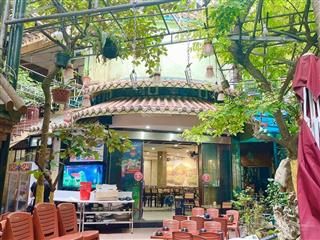 Nóng!!! mp trần đại nghĩa đại la, 330m2, vỉa hè, kinh doanh, vị trí đẹp, giá rẻ chưa từng có