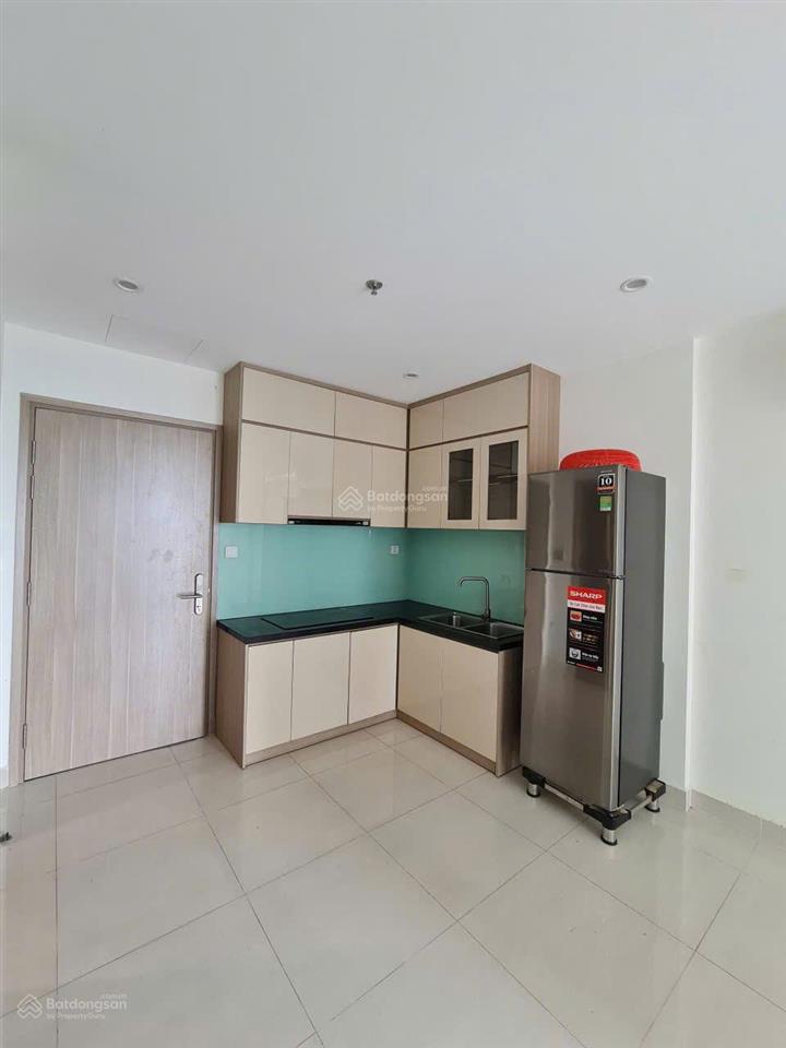 Bán căn hộ 47m2 1pn + 1 hướng đông nam full nội thất gỗ giá chỉ 2,03 tỷ công chứng ngay