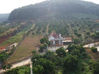 Quỹ đất đẹp đầu tư homestay, nhà vườn nghỉ dưỡng cực đẹp tt nam ban, 12 tỷ tl