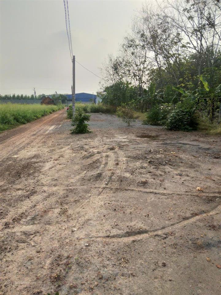 Giảm 100 triệu bán đất 2 mặt tiền dh 507 vĩnh hòa, phú giáo, 1055m2