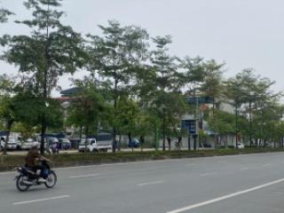 Chính chủ cần bán gấp nhà mặt phố ngô gia tự